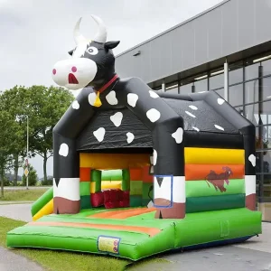 Springkussen huren koe